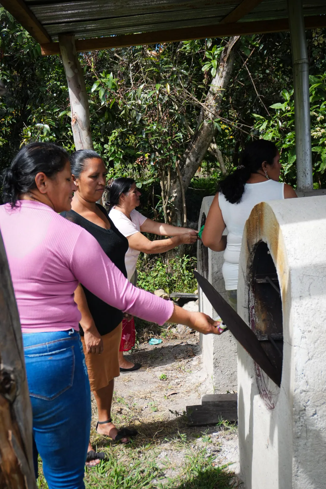 Actividad Adaptarce 5