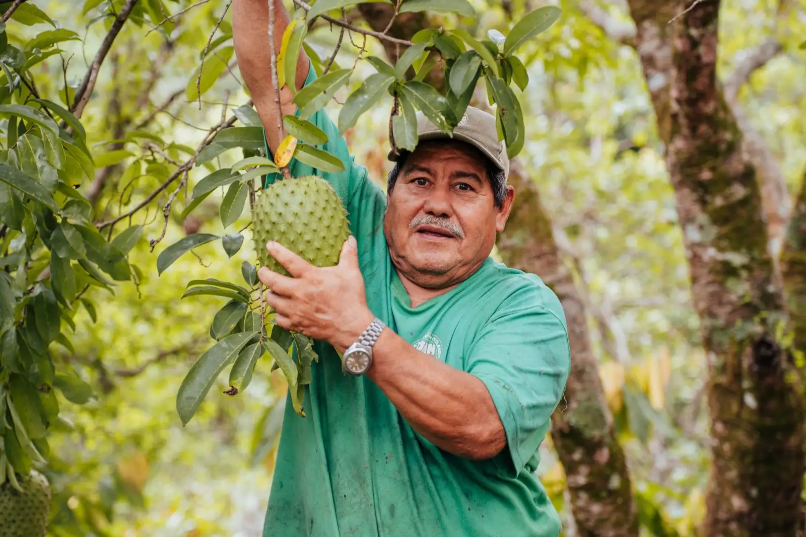 Trabajo de campo del proyecto Proyecto Conecta+