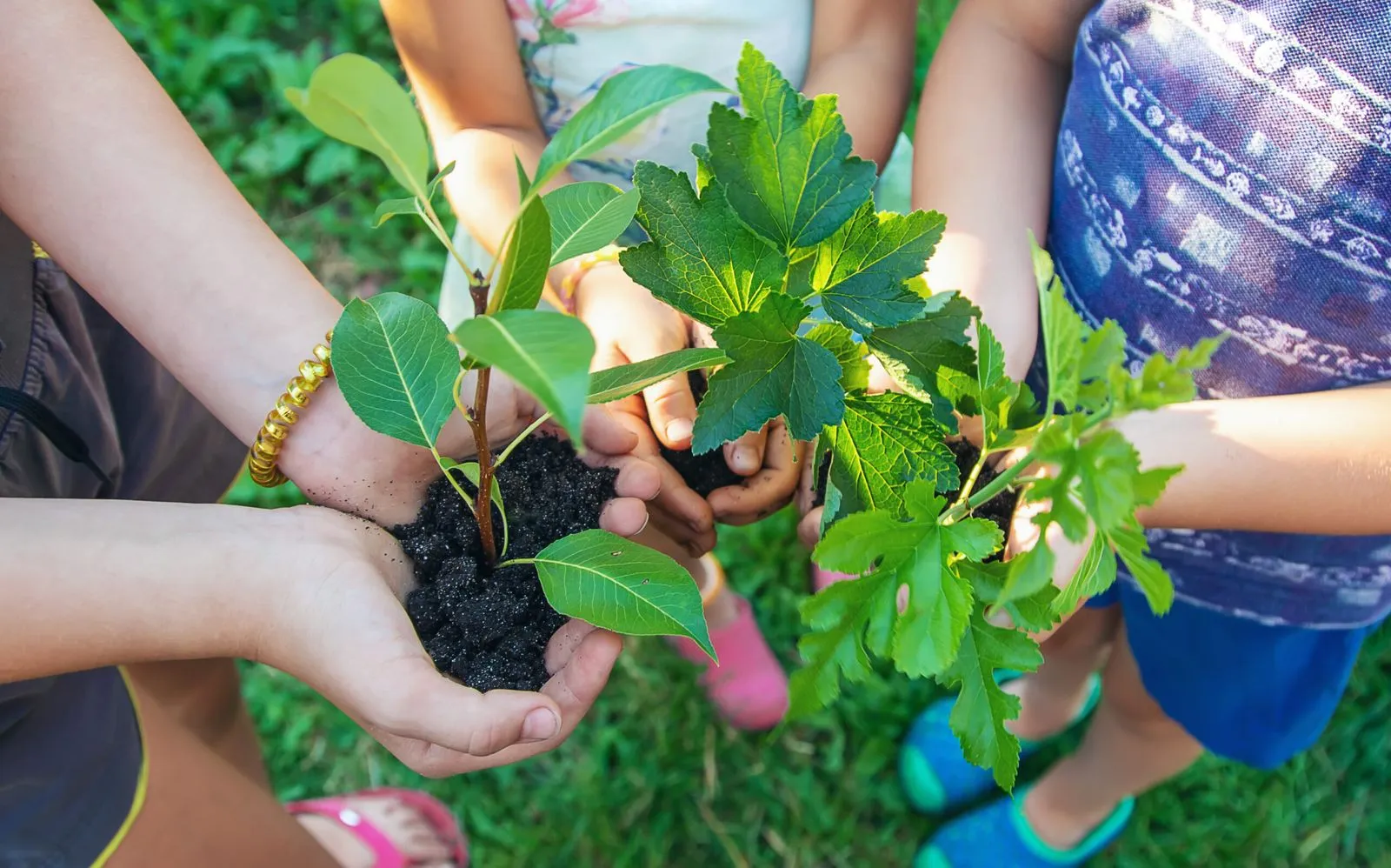 Educación Ambiental