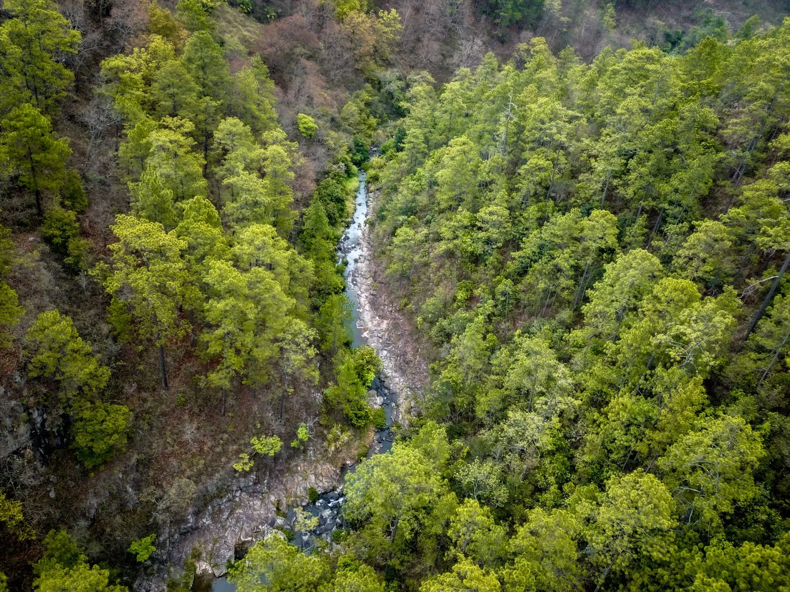Dirección General de Gestión Ambiental