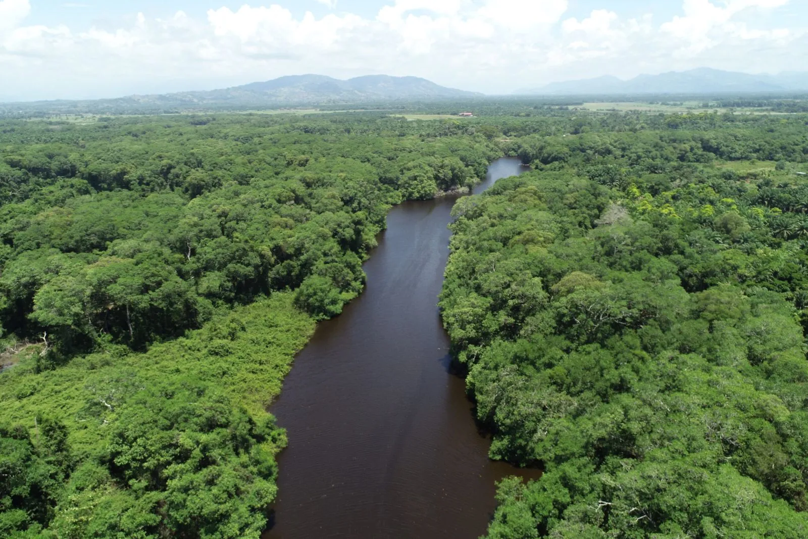 Plataforma Agua de Honduras