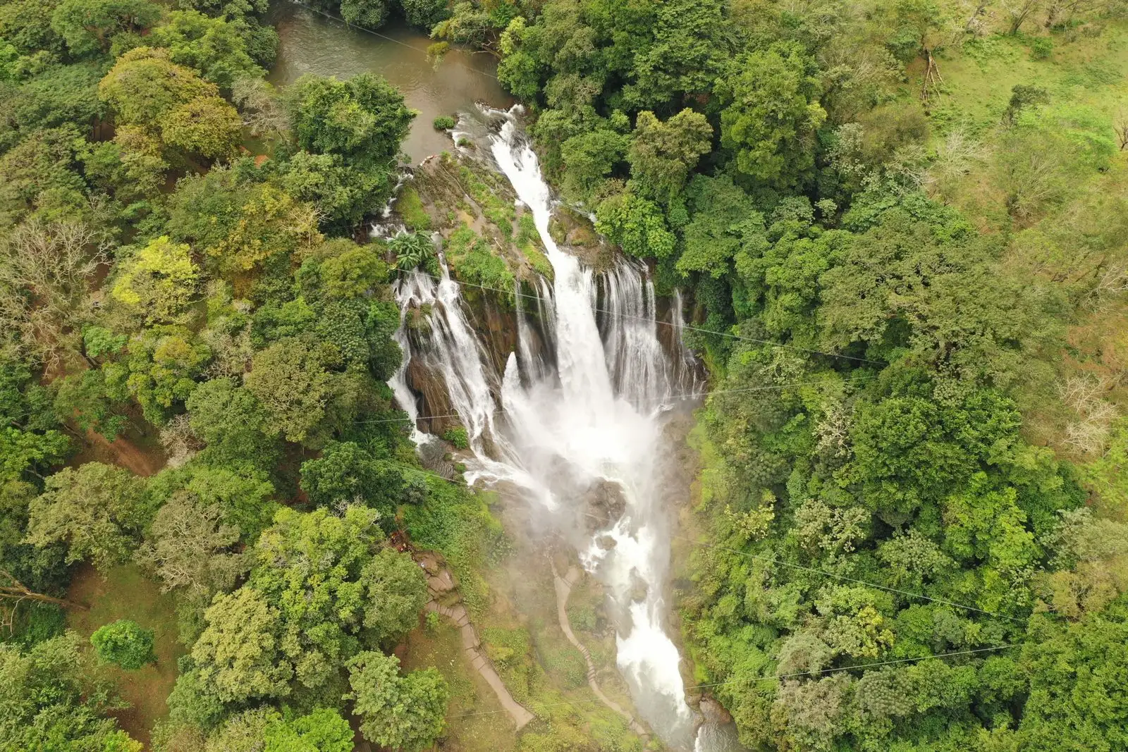 Oficina regional de San Pedro Sula