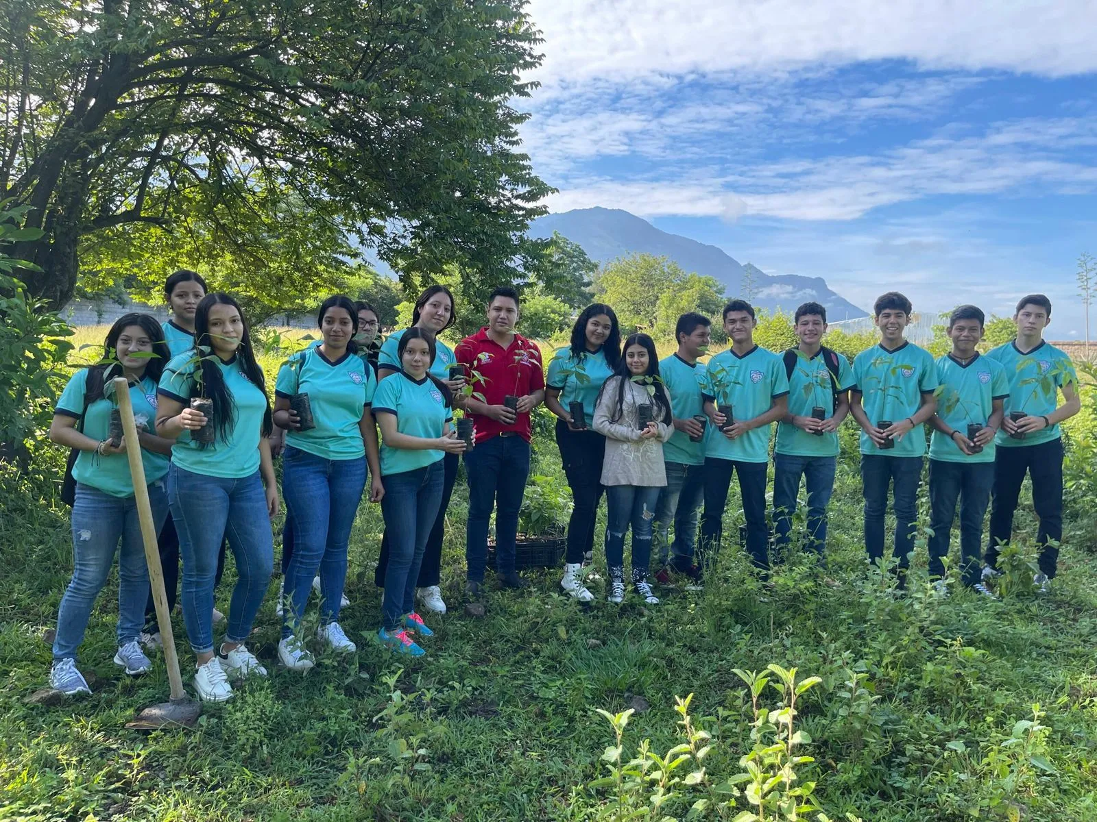 Protección Forestal